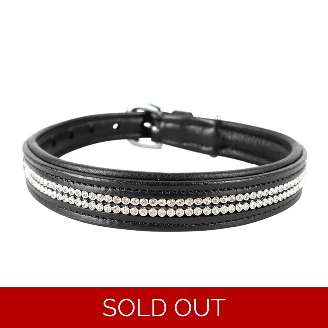 product Image for Benji & Flo Dazzling Diamante Dog Collar